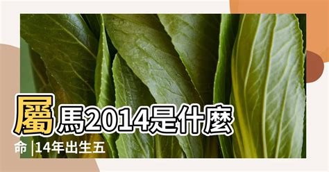 2014屬馬|【2014年屬什麼】2014年生肖大揭密！屬什麼生肖、五行命格一。